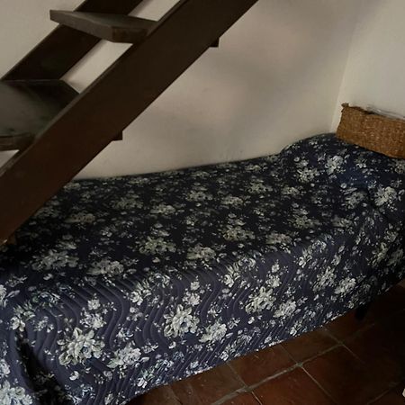 那不勒斯La Limonaia Di Chiaia公寓 外观 照片