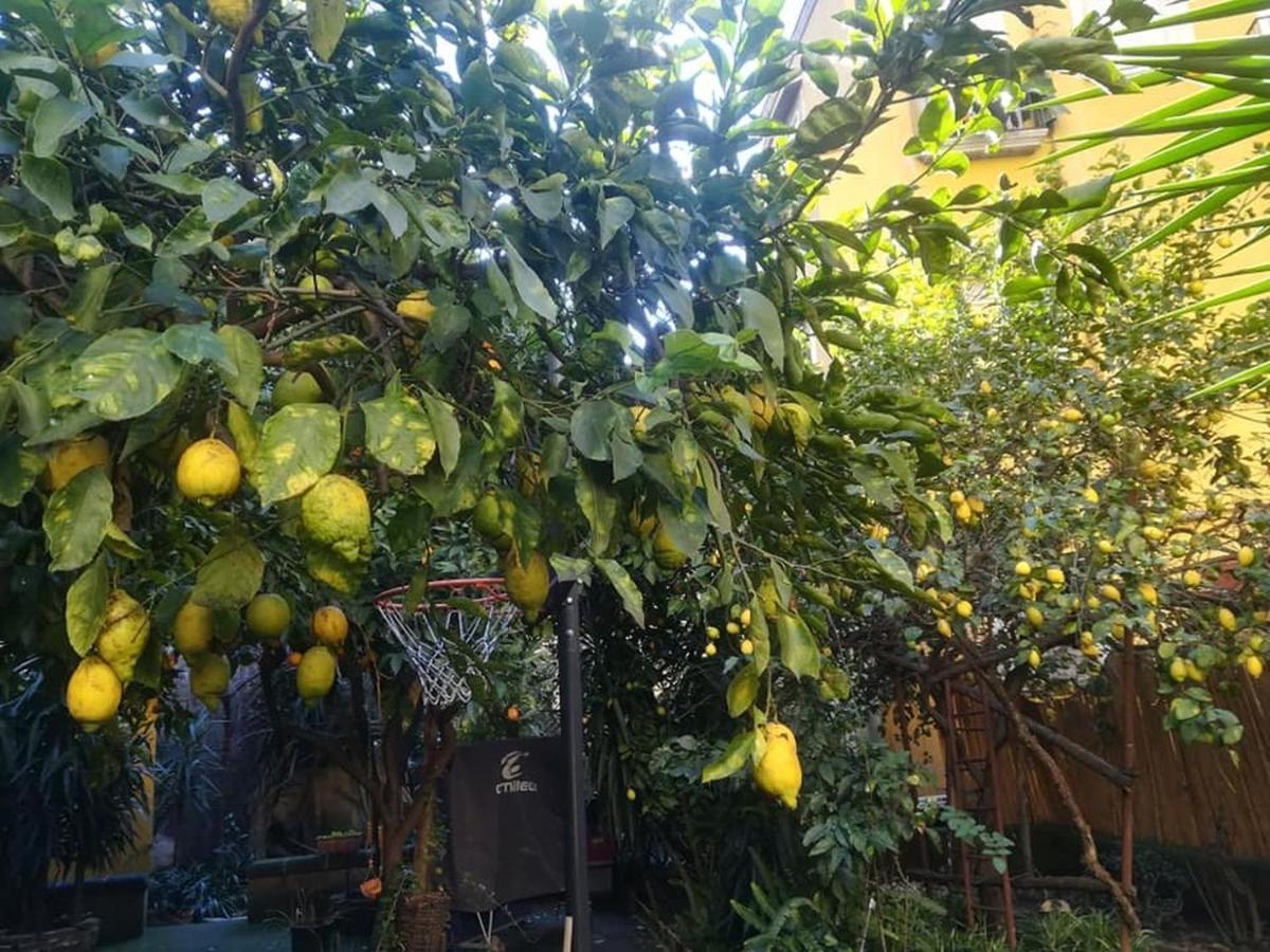 那不勒斯La Limonaia Di Chiaia公寓 外观 照片