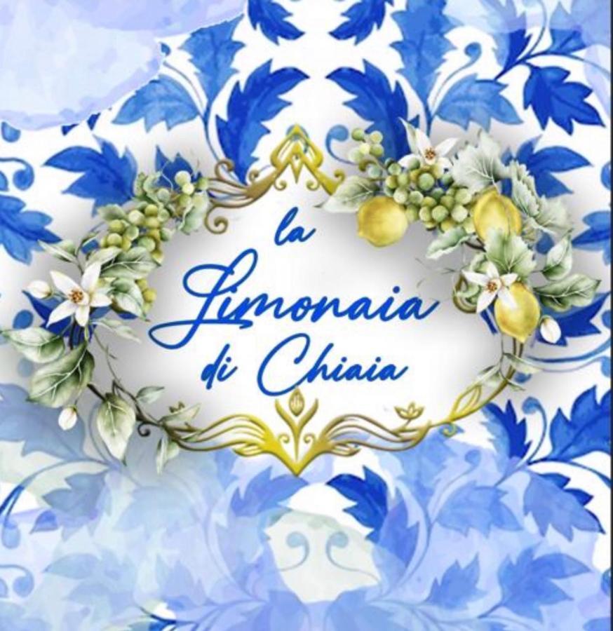 那不勒斯La Limonaia Di Chiaia公寓 外观 照片