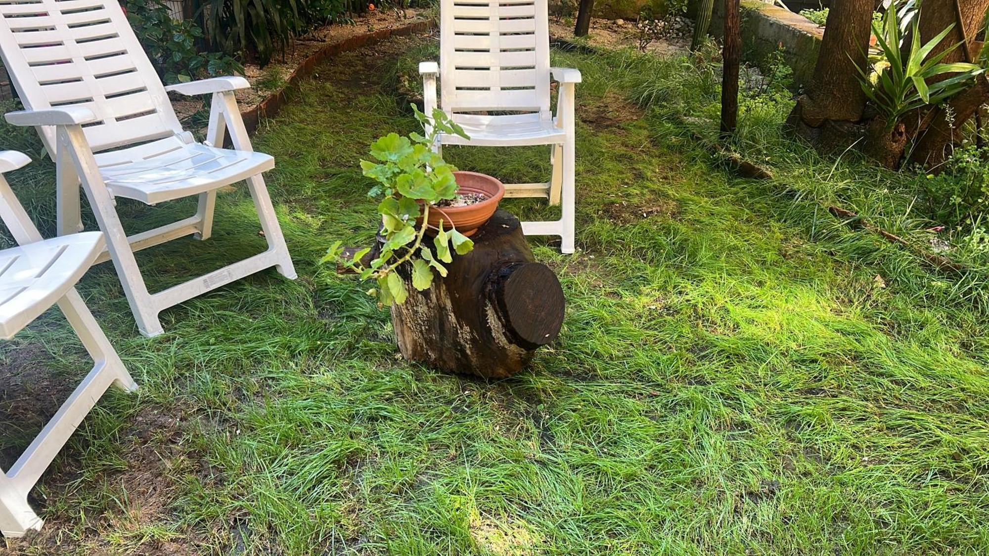 那不勒斯La Limonaia Di Chiaia公寓 外观 照片
